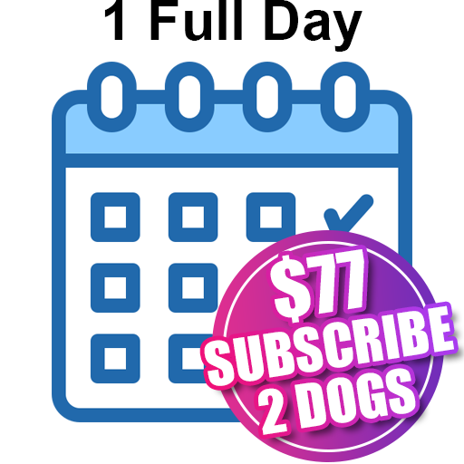 1 Full Day Two Dogs