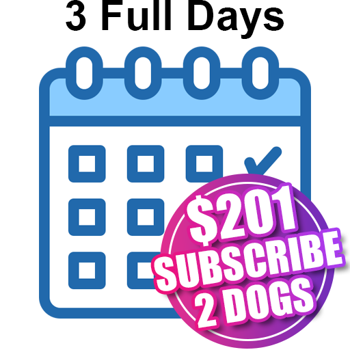 3 Full Days Two Dogs
