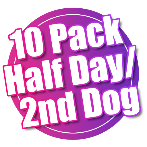 10 Pack Half Day/2nd Dog