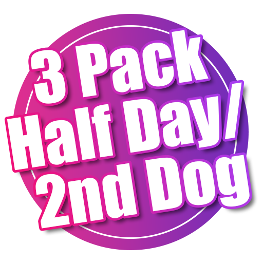 3 Pack Half Day/2nd Dog