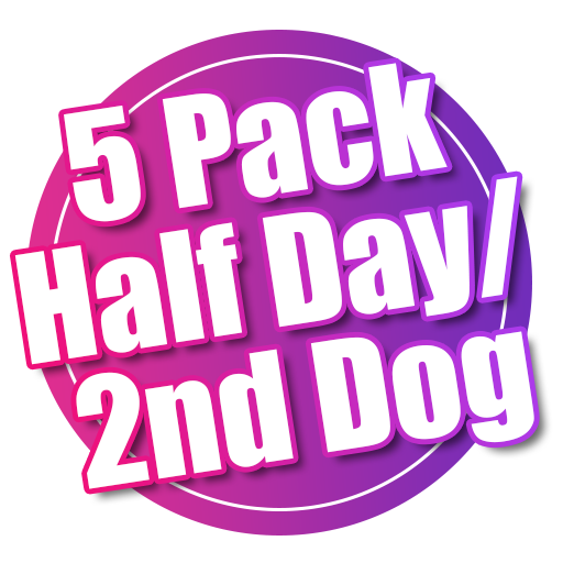 5 Pack Half Day/2nd Dog