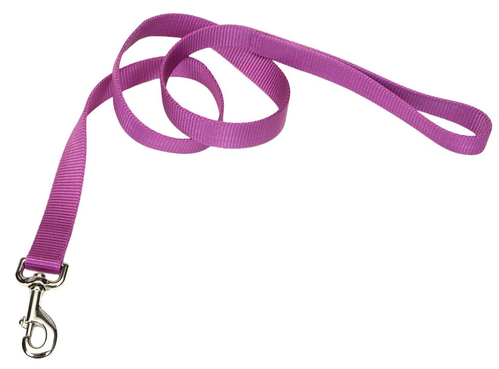 Coastal Single Ply Nylon Leash – 6 ft
