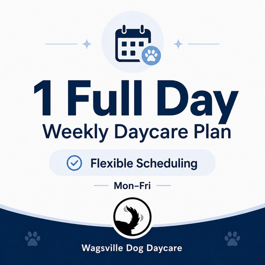 1 Full Day