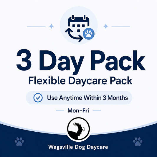 3 Day Pack