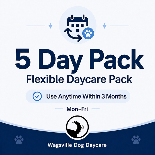 5 Day Pack
