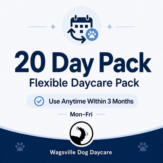 20 Day Pack