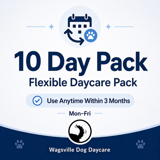 10 Day Pack