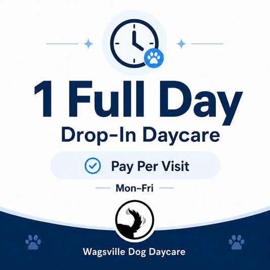 1 Full Day Drop-In