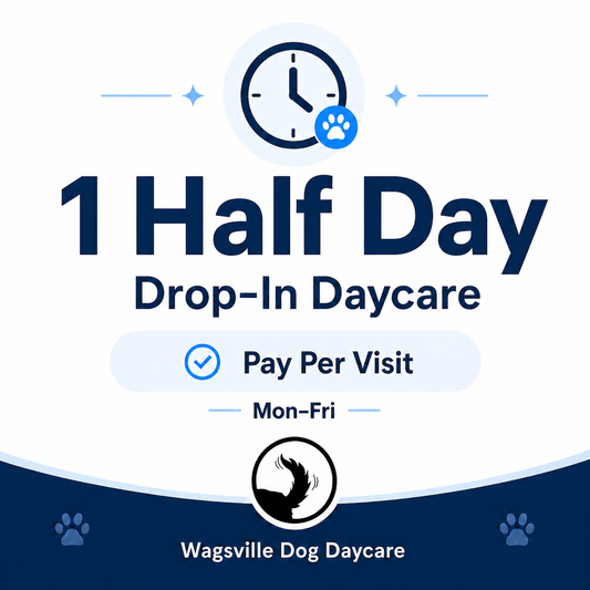1 Half Day Drop-In