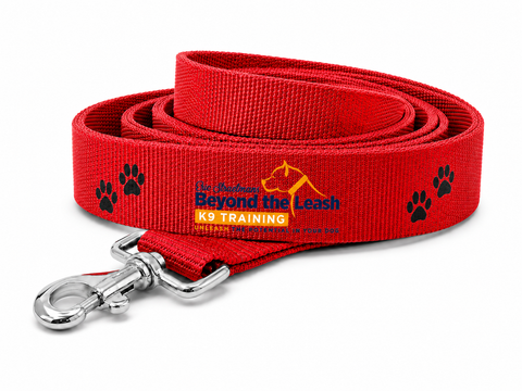 Beyond The Leash – 6 ft Training Leash