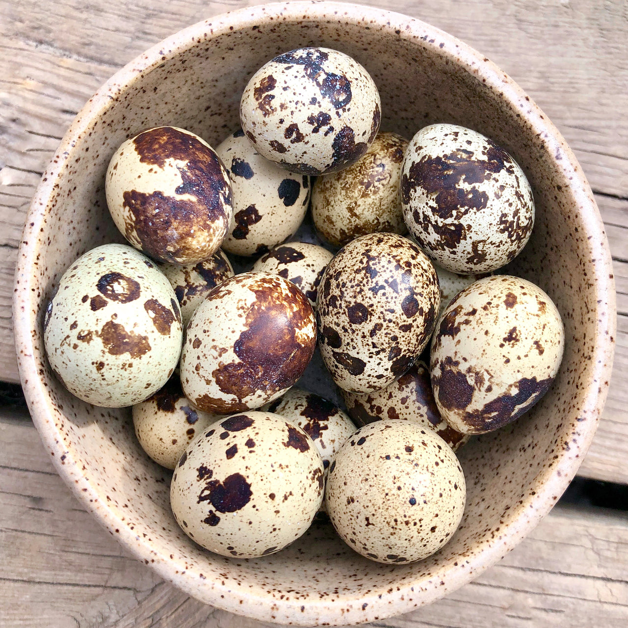Frozen Quail Eggs – 18 count