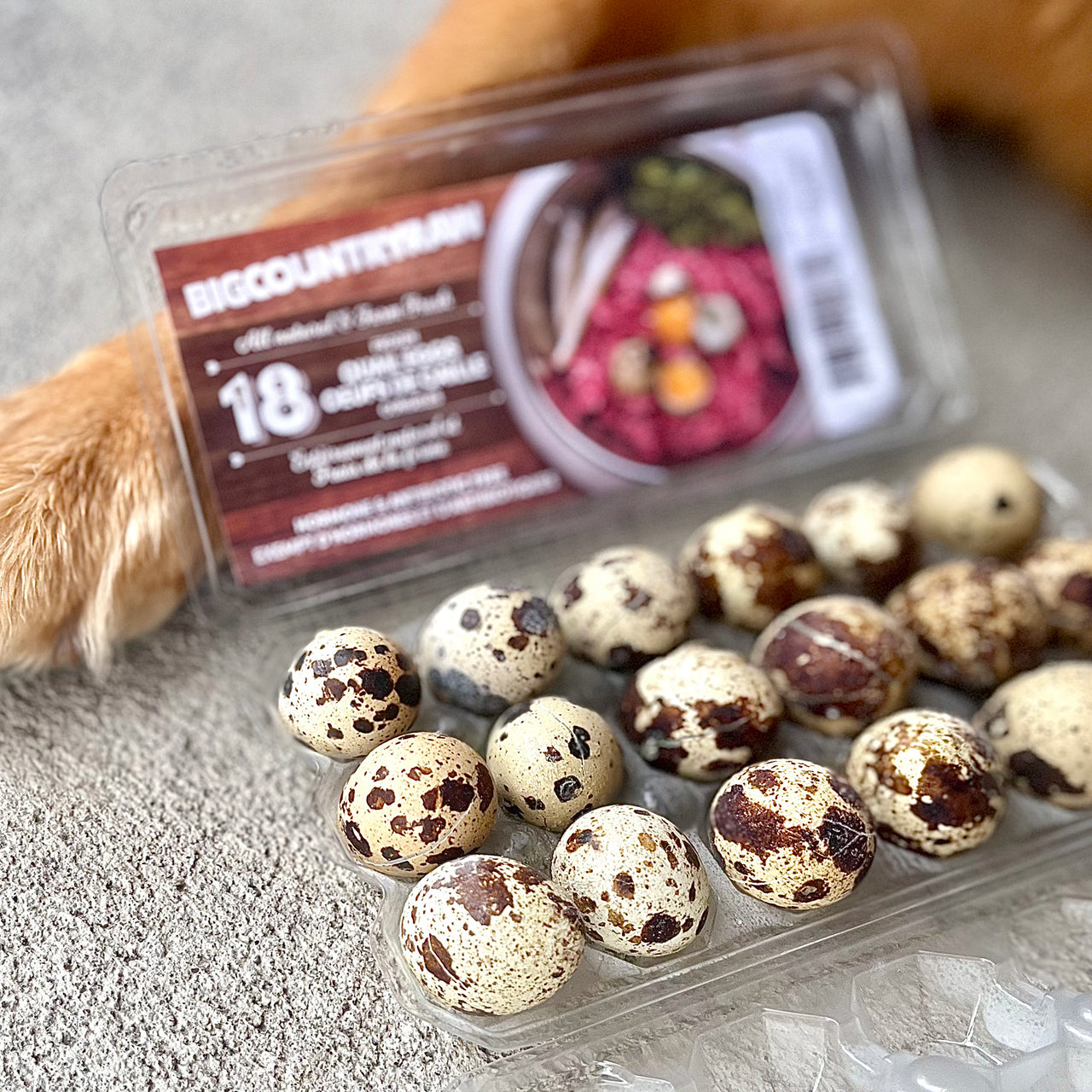 Frozen Quail Eggs – 18 count