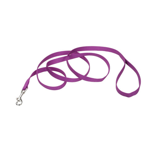 Coastal Single Ply Nylon Leash – 6 ft
