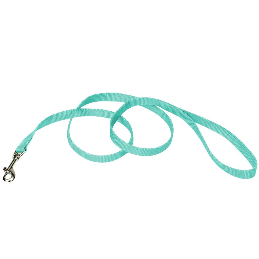 Coastal Single Ply Nylon Leash – 6 ft
