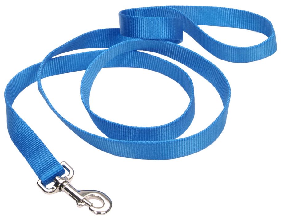 Coastal Single Ply Nylon Leash – 6 ft