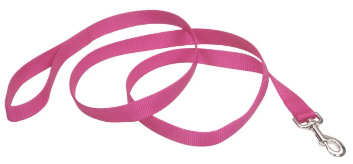 Coastal Single Ply Nylon Leash – 6 ft