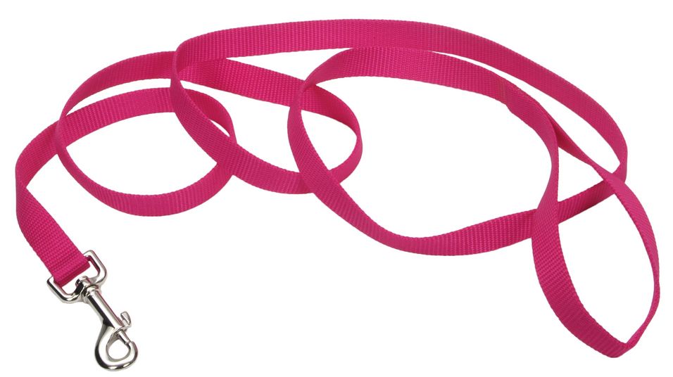 Coastal Single Ply Nylon Leash – 6 ft