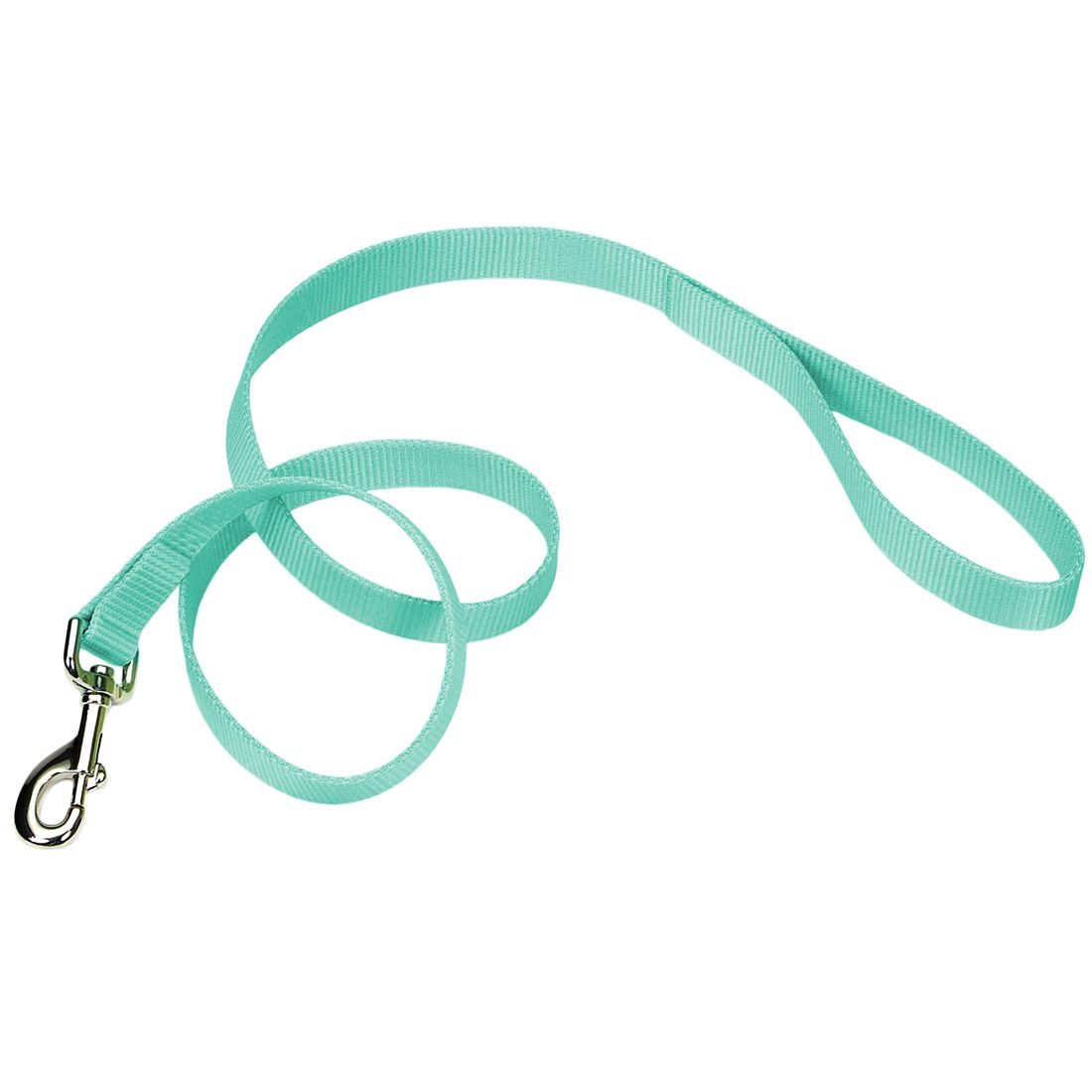 Coastal Single Ply Nylon Leash – 6 ft