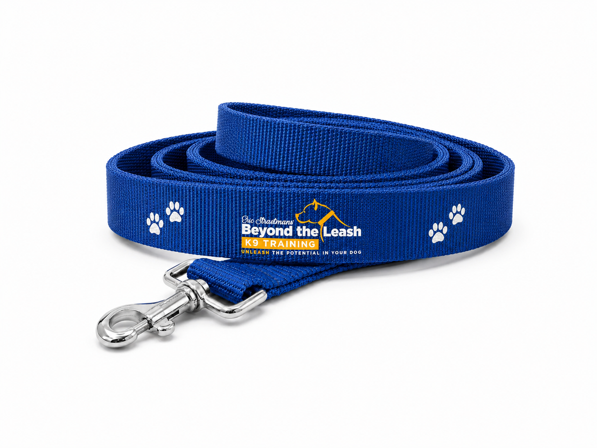 Beyond The Leash – 6 ft Training Leash