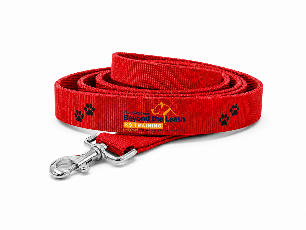 Beyond The Leash – 6 ft Training Leash