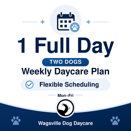Wagsville 1 Full Day Weekly Daycare Plan for Two Dogs
