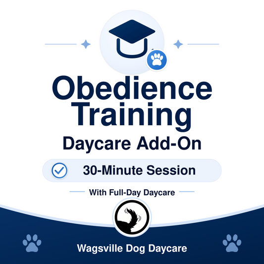 Wagsville Obedience Training Daycare Add-On